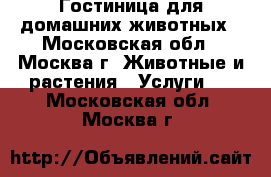 Гостиница для домашних животных - Московская обл., Москва г. Животные и растения » Услуги   . Московская обл.,Москва г.